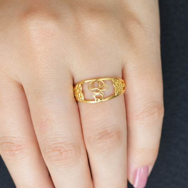 ChatGPT Image 27 de jan. de 2026, 18_03_01