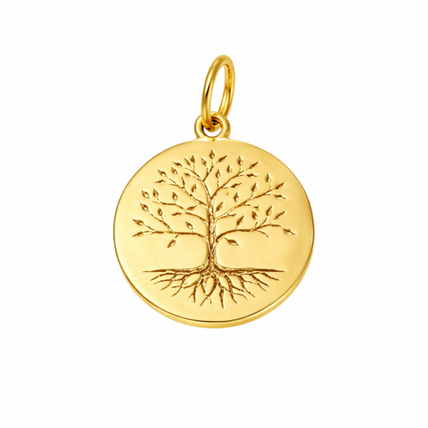 ChatGPT Image 28 de jan. de 2026, 06_07_38