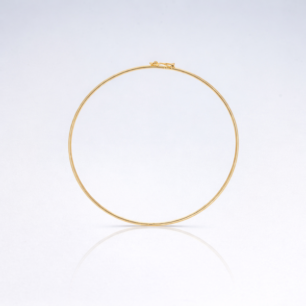 ChatGPT Image 31 de jan. de 2026, 15_44_44