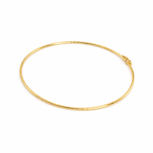 Pulseira Fio com Fecho