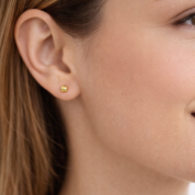 ChatGPT Image 4 de fev. de 2026, 11_48_42