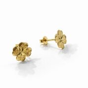 WhatsApp Image 2026-02-02 at 22.46.07 (2)