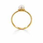 WhatsApp Image 2026-02-04 at 07.49.30