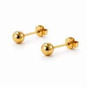 WhatsApp Image 2026-02-04 at 07.49.32 (3)