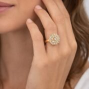 WhatsApp Image 2026-02-04 at 12.53.24 (2)