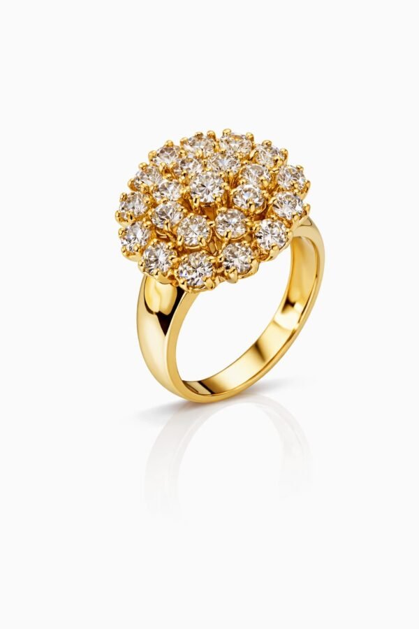 WhatsApp Image 2026-02-04 at 12.53.24